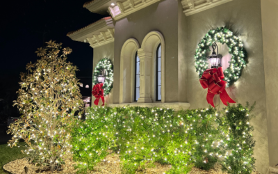 Holiday Lighting Design Florida: Transform Your Home for the Season