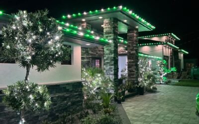 Holiday Lighting Near Me | Professional Holiday Lighting in Southwest Florida