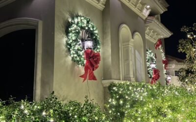 Outdoor Holiday Lighting Florida – Brighten Every Celebration with Artistic Visions Landscape Lighting