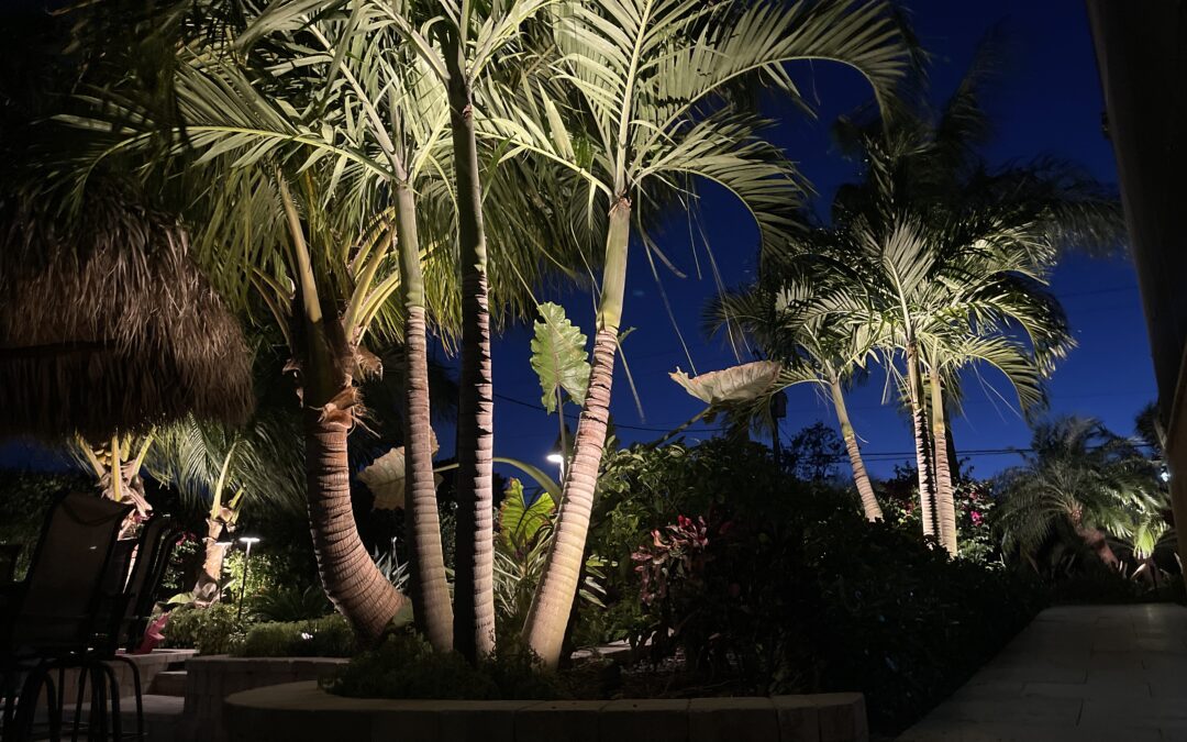 Transform Your Outdoor Space with Artistic Visions Landscape Lighting
