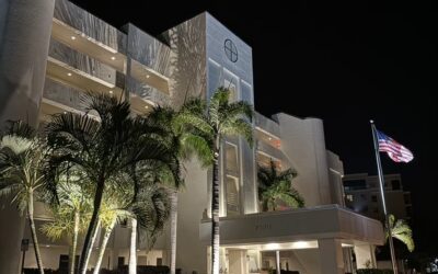 Elevate Outdoor Living with Expert Landscape Lighting Design