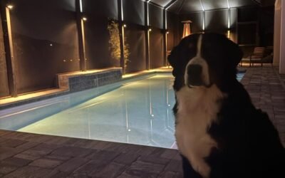 LED Lanai Lighting – Transform Your Outdoor Living Space